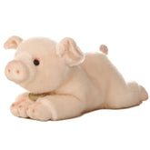 Aurora® - Miyoni® -  Pig